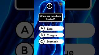 Anatomy Quiz Part 8 #short #anatomyquiz #anatomy #anatomyfacts