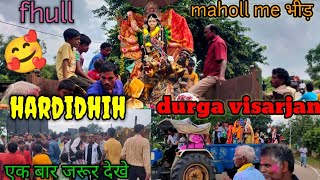 Durga Visarjan || Durga Puja Visarjan Hardidih || Durga visarjan Babughat borai Nadi ||