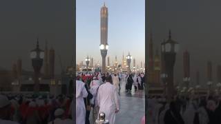 NamaZ-e-Magrib at Madina #madina #namaz #salah #magrib #allah #viral