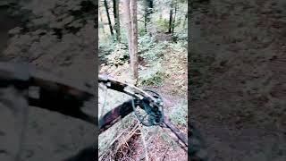 My new treestand location