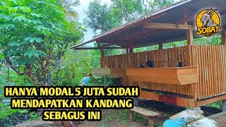 Kandang Minimalis Simple Dan Murah Cocok Untuk Pemula