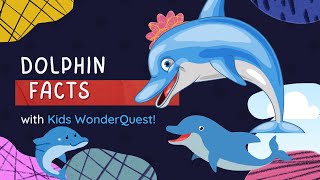 Discovering Dolphins: Life, Habits, and Fascinating Facts