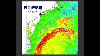 Northeastern U.S. Ocean Conditions Update - 06/05/2023