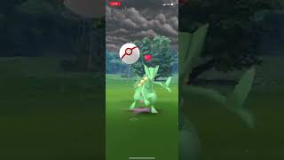 Pokémon GO: Mega Sceptile Raid Battle