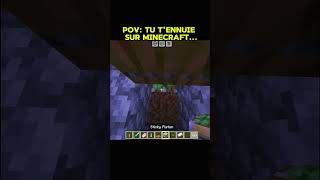 #minecraft #minecraftmemes #minecrafvilleger