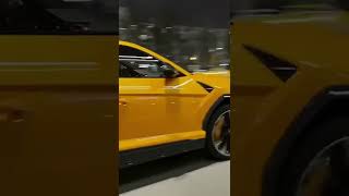 Lamborghini yellow colour America