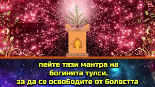 пейте тази мантра на богинята тулси, за да се освободите от болестта