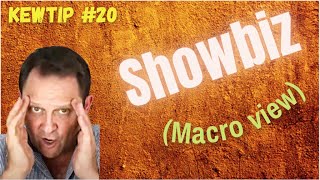 Actor Show Business Advice: Macro View