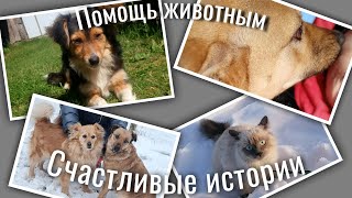 ЛЮДИ ПОМОГАЮТ ЖИВОТНЫМ/РЕАЛЬНЫЕ ИСТОРИИ/РОЗЫГРЫШ ПРИЗОВ💜🐩