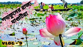 ঘাগুটিয়া পদ্ম বিল ভ্রমন। Podda Bill Tour Vlog 9 gahgotiya Akhaura Brahmanbaria 2020।