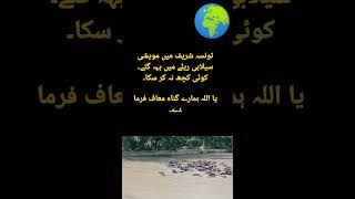 Flood in Taunsa Shareef 2022 | Tonsa Barrage Flood 2022 | Sailab ki Tabah Kari