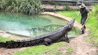 Australian Reptile Park (bonus footage)