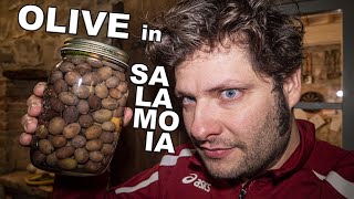 Olive in salamoia