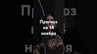 Прогноз на 14 ноября - Фэншуим с Верой - Фэн-шуй - астрология