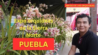 Expo orquídeas La la Sierra Norte de Puebla