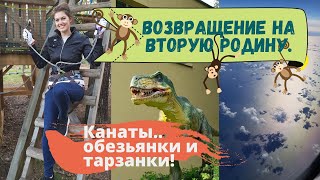 Последние дни в Латвии, Даугавпилсе. Зоосад, тарзанка и дорога обратно в Великобританию. Влог.