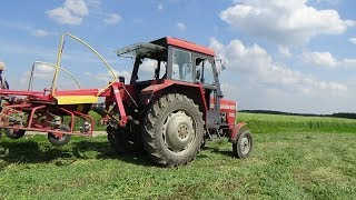 *Zgrabianie 2019 *  MASSEY FERGUSON 255 *   ^-^