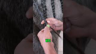 Quick how to on removing the braiding tape. #equine #horses #shorts #tape #braiding #tips