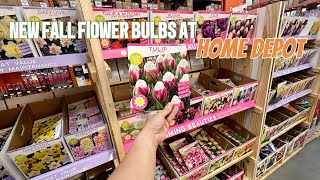 NEW 2024 Fall Flower BULB Inventory At HOME DEPOT!!🌷🪻