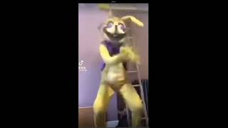 Real fnaf footage xd