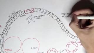 Part I   Mucosal Immunity