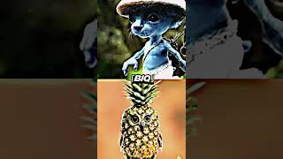 Smurf cat vs owl pineapple #memes