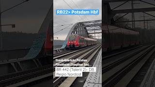 Ein RB22 mit der BR 442 auf der Eisenbahnbrücke (Bahnhof Pirschheide || Potsdam) | ÖPNVinBB #shorts