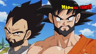 Goku Vegeta se retrouve avec des barbes