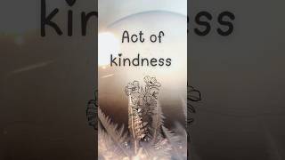 kindness 🌹🌺🌻🍁 kind..✨#actofkindness #latestshorts2024