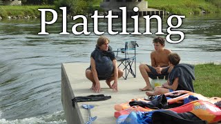 Freestyle Kayak Plattling 2021 | Freestyle Kayakers