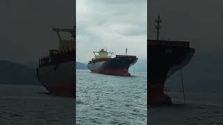 Cargo Ship, Kapal Kargo #shorts