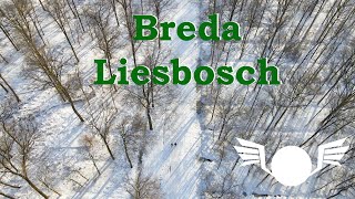 Breda Liesbosch onder een wit deken - droneshots - 09 feb 2021