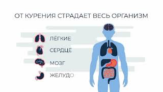 Вред курения Ситяева Сабина, Добров Григорий - группа 102