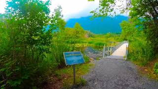 Wetlands, Cheam Lake park, Chilliwack, BC, Canada 2021