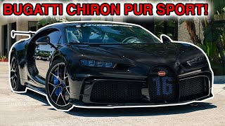 PROTECTING A $5M CARBON FIBER BUGATTI CHIRON PUR SPORT!!