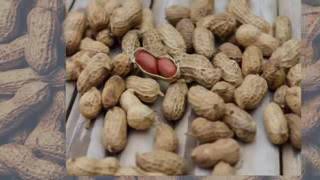 Should students eat peanuts or not?