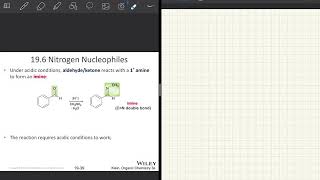 Organic II Ch 19: nitrogen nucleophiles