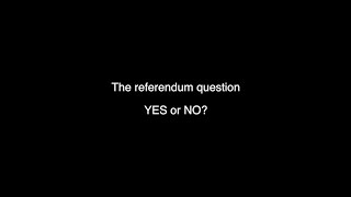 JULIAN LEESER Liberal MP - the referendum question