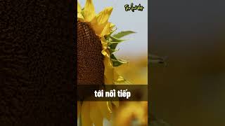 Người tình kiếp này #baihoccuocsong