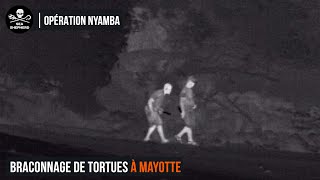 Braconnage de tortues à Mayotte