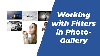 How to add filters to Photo gallery in WYSIWYG Web builder 16