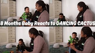 8 Months Baby's Reaction to DANCING CACTUS 🌵*So Cute*