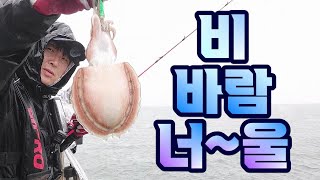 갑오징어 낚시!! 오지게 안 나오는 날!! 그러나 선장님의 매직!!!