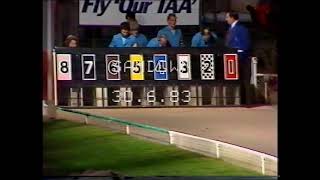 Sandown Park greyhounds, June 30th 1983