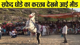 सफेद घोड़े का करतब देखने आई भीड़ SONANA KHETLAJI HORSE RACE