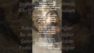 Yusuf Hayaloğlu - Alır Dağlar #seslikitapsiir #edebiyat #felsefe