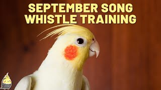 SEPTEMBER with WHISTLE - Bird Whistling Training - Cockatiel Singing Practice