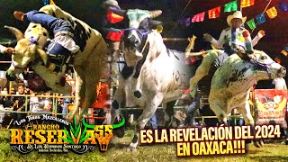 ES LA GANADERÍA REVELACIÓN DEL AÑO EN OAXACA! SON LOS DE RANCHO RESERVA 55 EN TECOMATLAN, OAX. 2024