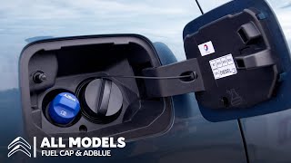 All ICE Models - Fuel Cap & AdBlue