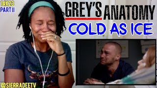 Grey's Anatomy *Cold As Ice* PART II - 14x23 Reaction!